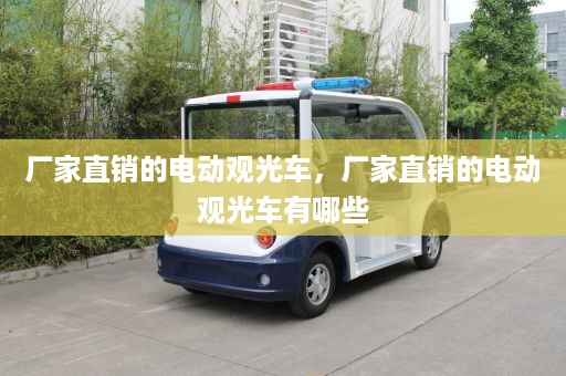 厂家直销的电动观光车，厂家直销的电动观光车有哪些